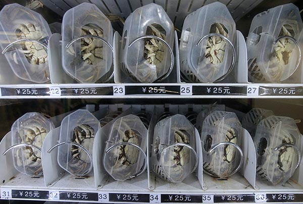 AC - LIVE HAIRY CRABS IN VENDING MACHINE - PHOTO SEAN YONG REUTERS copy